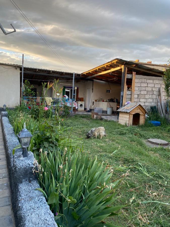 Mamuka'S Guesthouse Udabno Εξωτερικό φωτογραφία