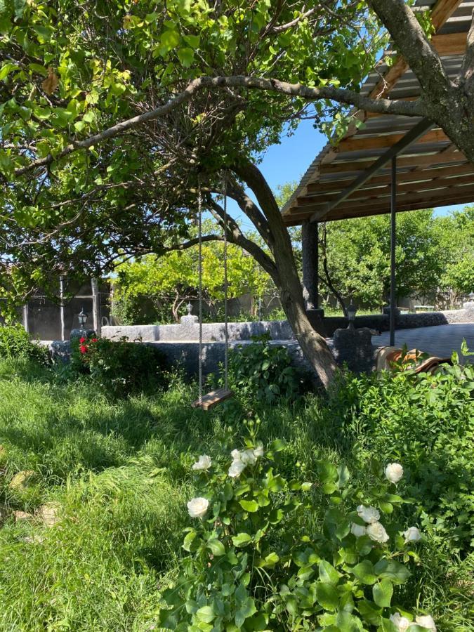 Mamuka'S Guesthouse Udabno Εξωτερικό φωτογραφία