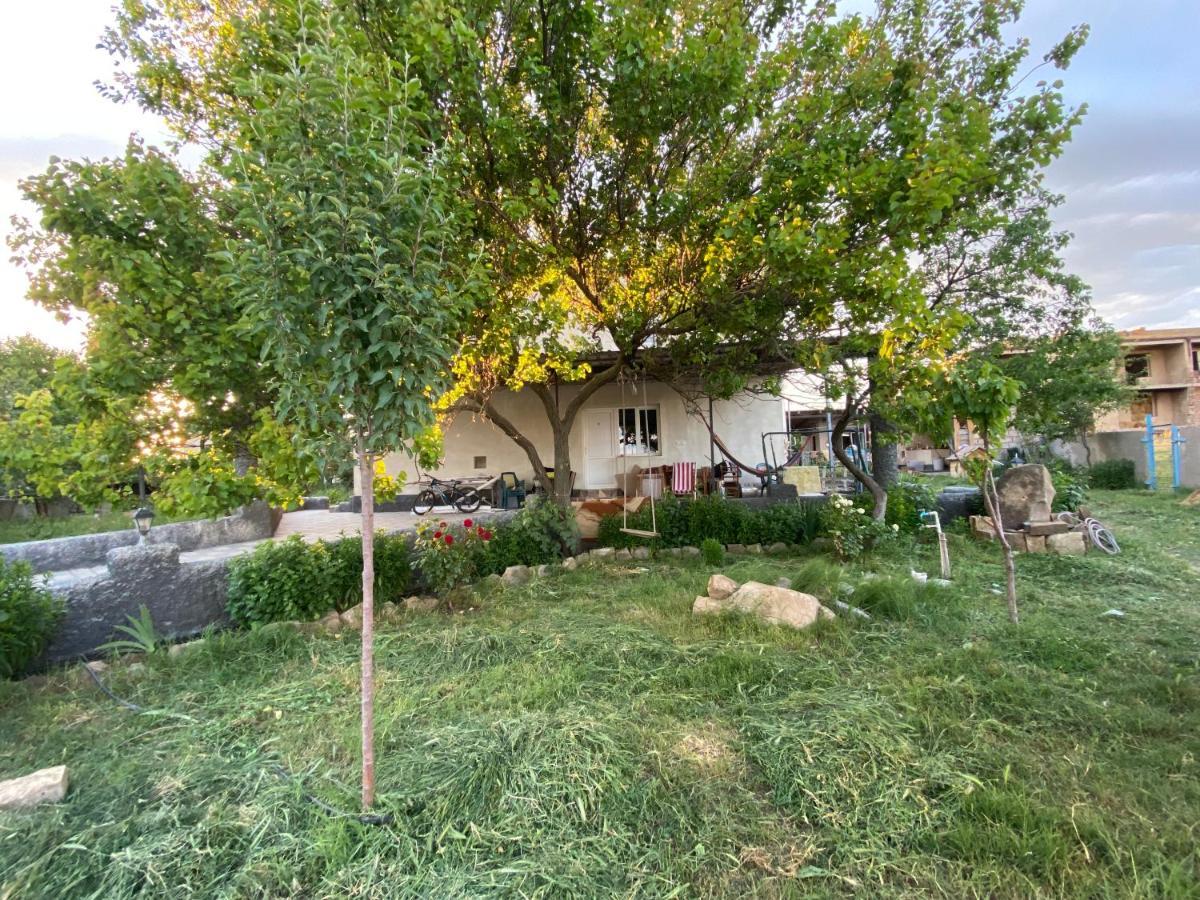 Mamuka'S Guesthouse Udabno Εξωτερικό φωτογραφία